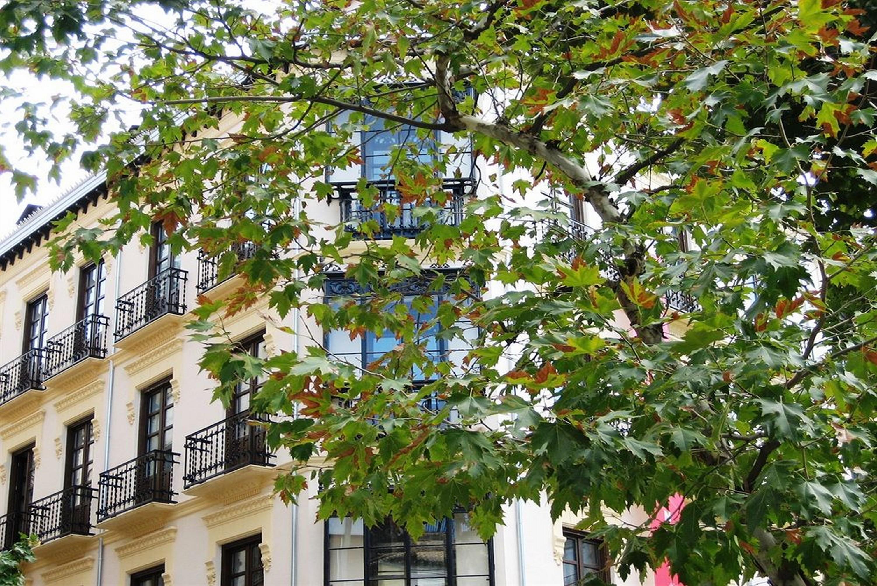La Casa De La Trinidad Hotel Гранада Екстериор снимка